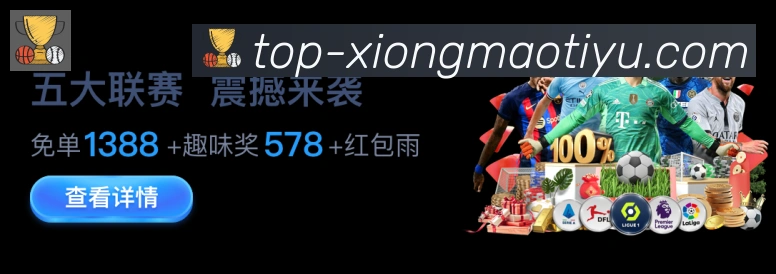 奖项4