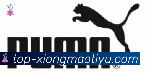 熊猫体育直播合作伙伴