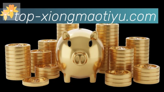 登录器